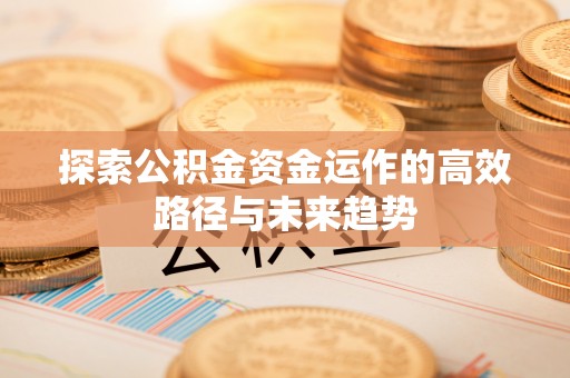 麻阳探索公积金资金运作的高效路径与未来趋势