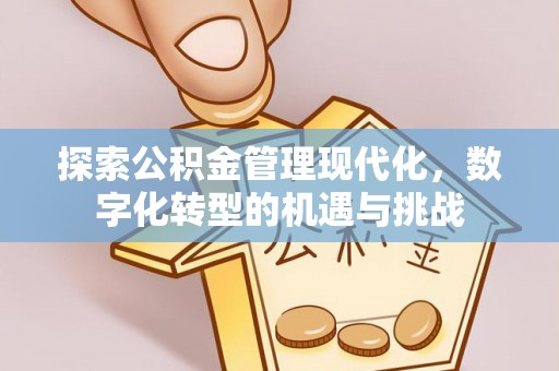 麻阳探索公积金管理现代化，数字化转型的机遇与挑战