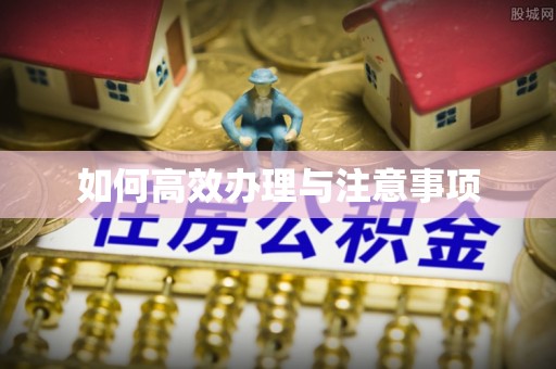 麻阳如何高效办理与注意事项
