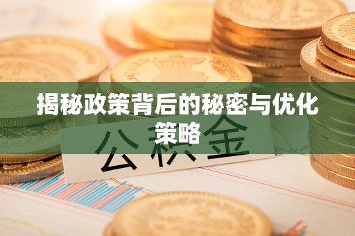 麻阳揭秘政策背后的秘密与优化策略
