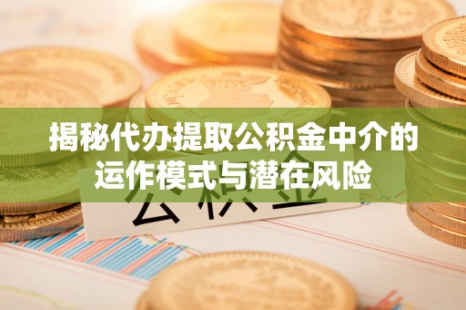 麻阳揭秘代办提取公积金中介的运作模式与潜在风险