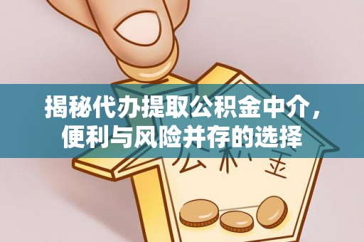 麻阳揭秘代办提取公积金中介，便利与风险并存的选择