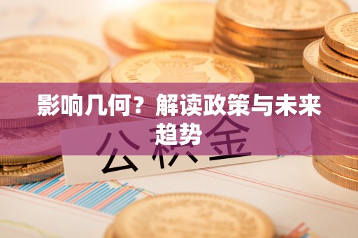 麻阳影响几何？解读政策与未来趋势
