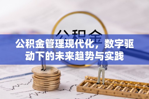 麻阳公积金管理现代化，数字驱动下的未来趋势与实践