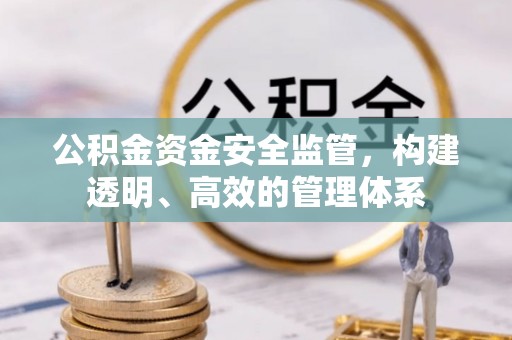 麻阳公积金资金安全监管，构建透明、高效的管理体系