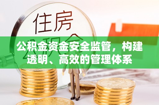 麻阳公积金资金安全监管，构建透明、高效的管理体系