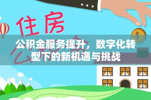 麻阳公积金服务提升，数字化转型下的新机遇与挑战