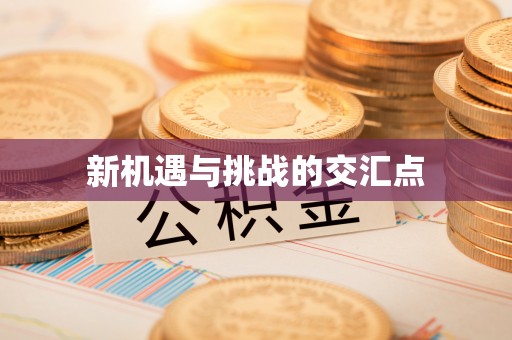 麻阳新机遇与挑战的交汇点