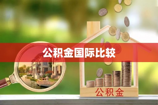 麻阳公积金国际比较