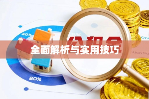 麻阳全面解析与实用技巧