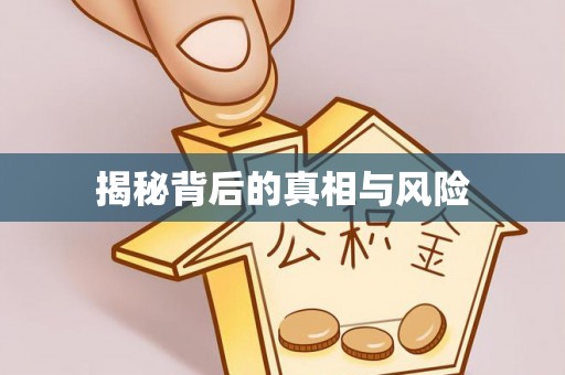 麻阳揭秘背后的真相与风险