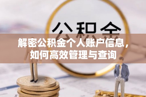 麻阳解密公积金个人账户信息，如何高效管理与查询