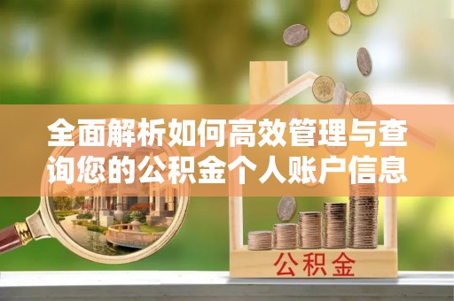 麻阳全面解析如何高效管理与查询您的公积金个人账户信息