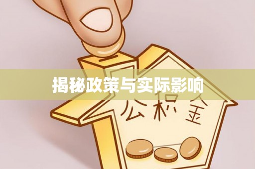麻阳揭秘政策与实际影响