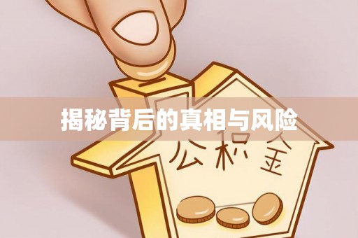 麻阳揭秘背后的真相与风险