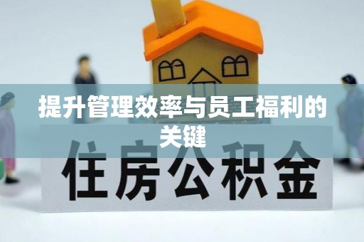 麻阳提升管理效率与员工福利的关键