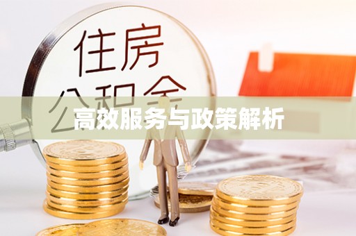 麻阳高效服务与政策解析