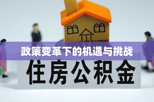 麻阳政策变革下的机遇与挑战