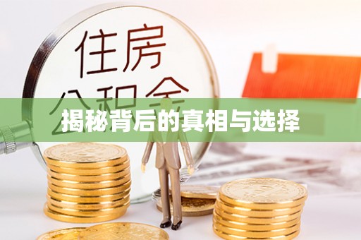麻阳揭秘背后的真相与选择