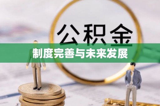 麻阳制度完善与未来发展