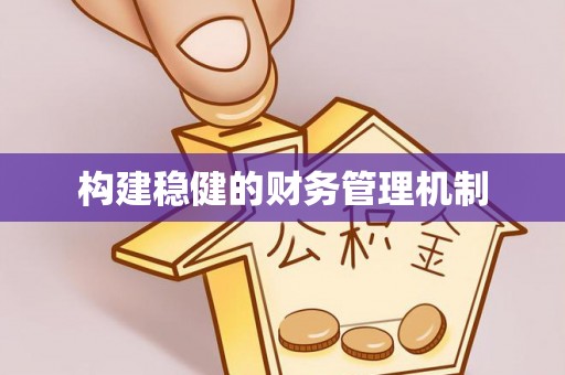 麻阳构建稳健的财务管理机制