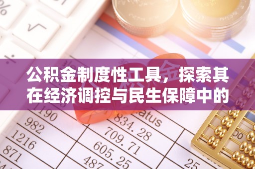 麻阳公积金制度性工具，探索其在经济调控与民生保障中的重要作用