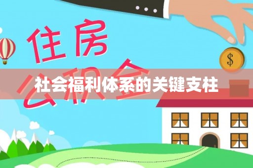 麻阳社会福利体系的关键支柱