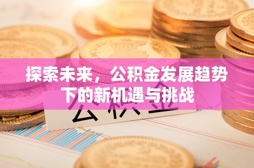 麻阳探索未来，公积金发展趋势下的新机遇与挑战