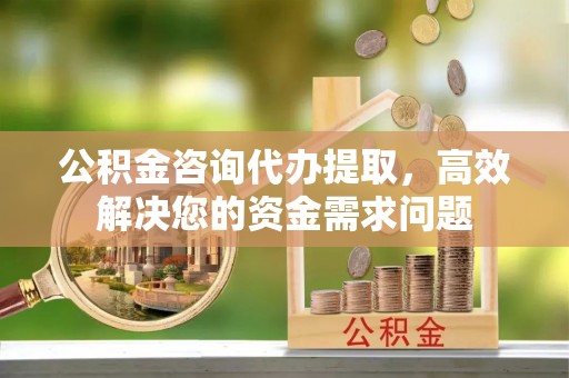 麻阳公积金咨询代办提取，高效解决您的资金需求问题