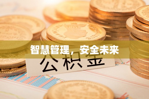 麻阳智慧管理，安全未来
