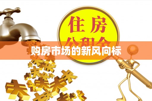麻阳购房市场的新风向标
