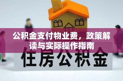 麻阳公积金支付物业费，政策解读与实际操作指南
