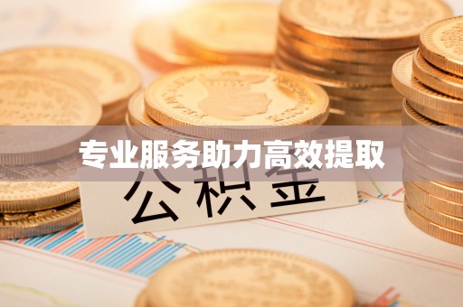 麻阳专业服务助力高效提取