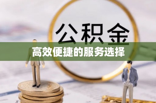 麻阳高效便捷的服务选择